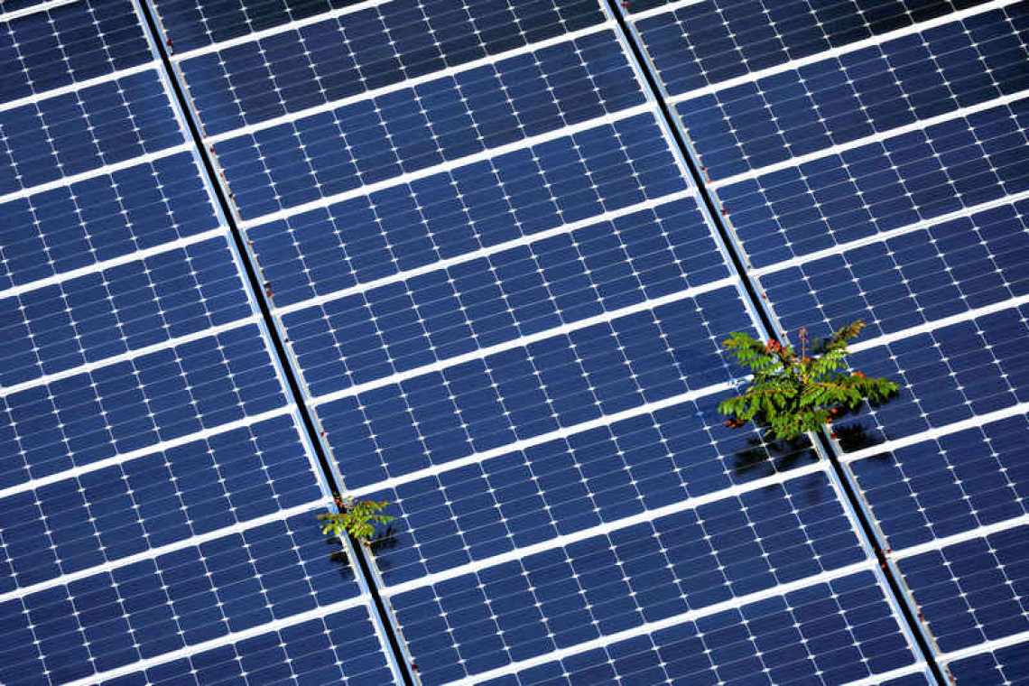 Rogue communication devices found  in Chinese solar power inverters